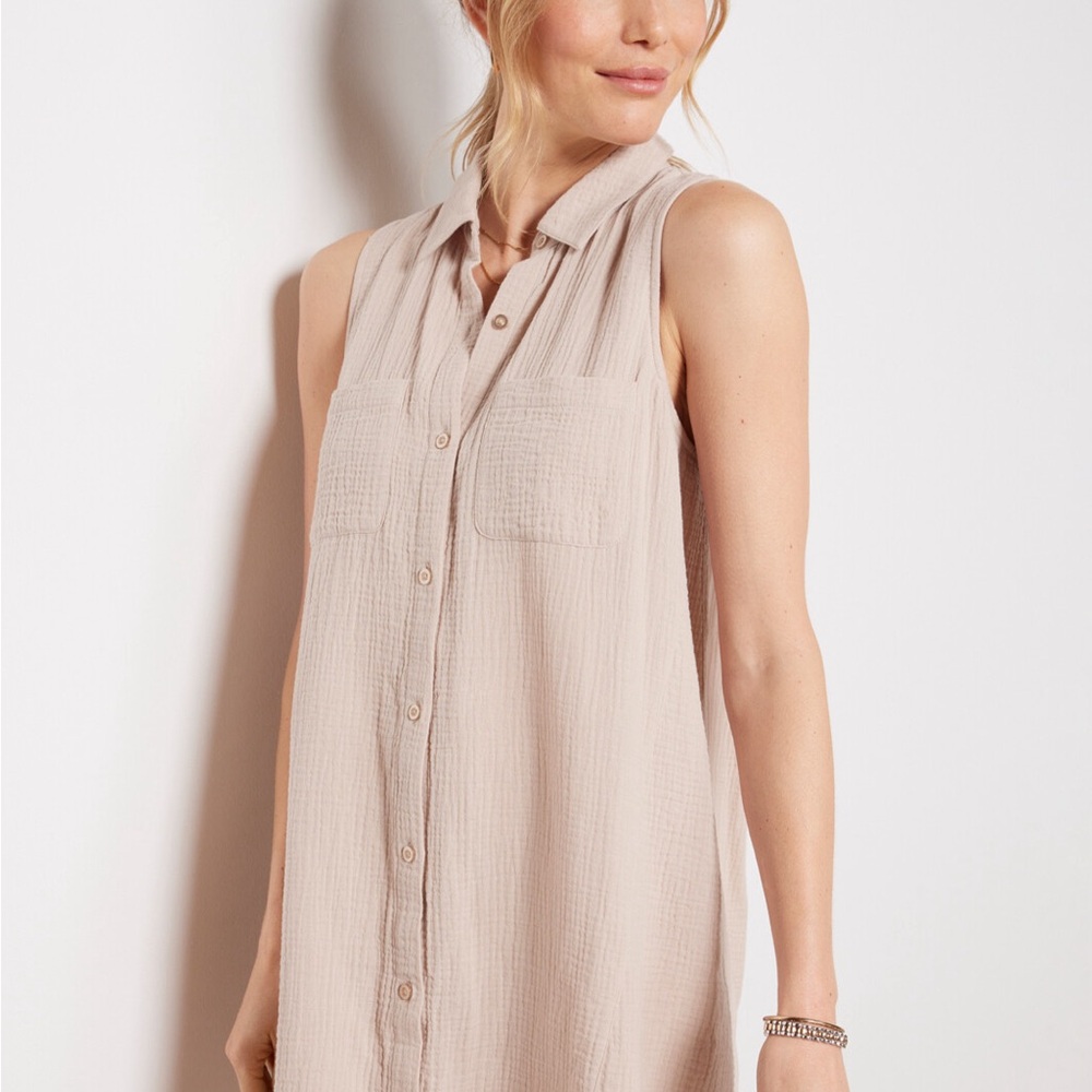 Evereve Putty Dress